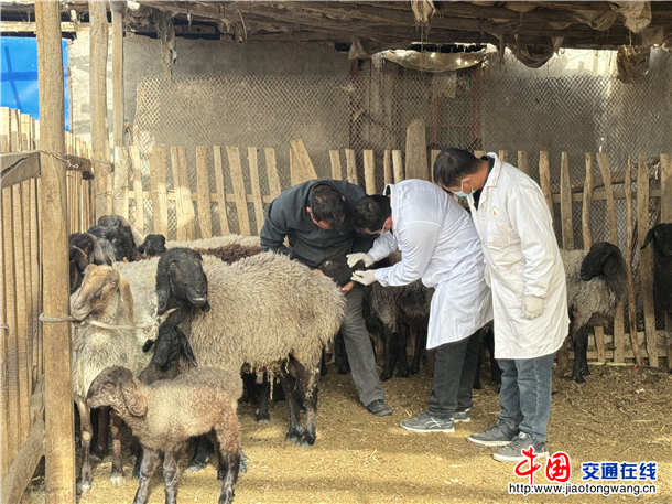 图片1