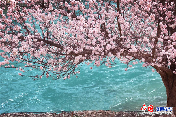图片2