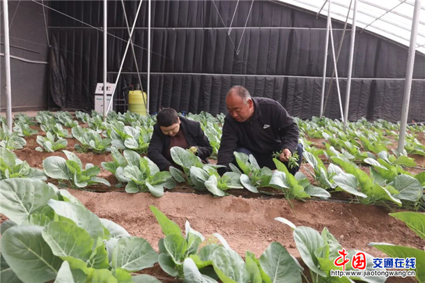 图片11