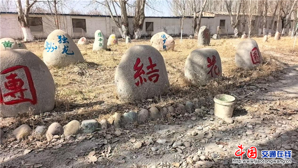 图片2