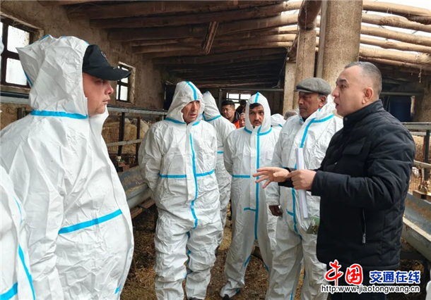 图片3