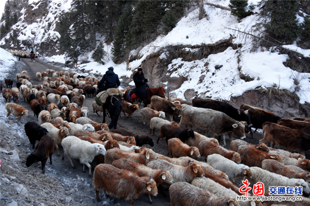 图片2
