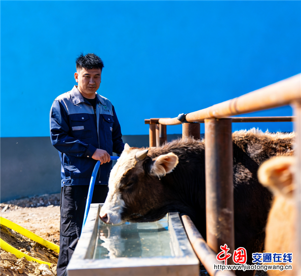 图片4