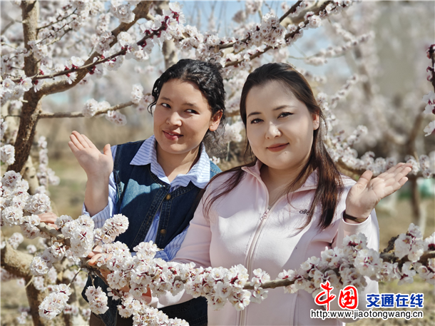 图片3