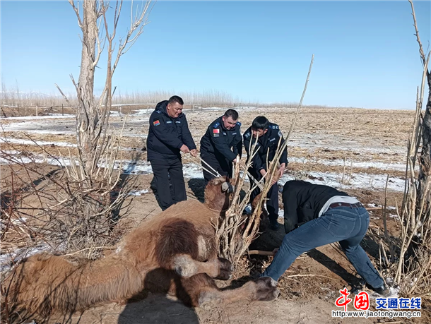图片7