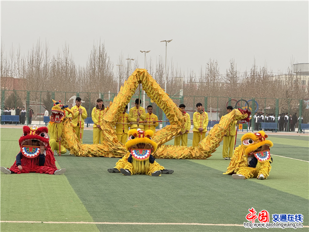 图片4