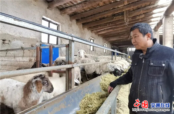 图片5
