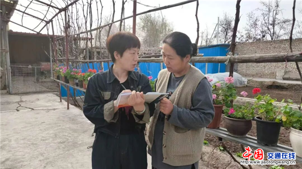图片6