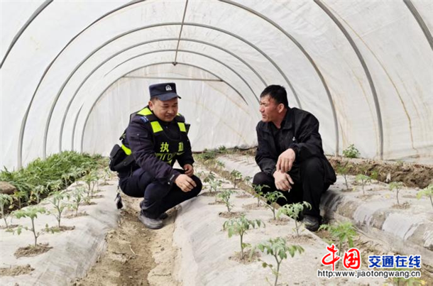 图片8