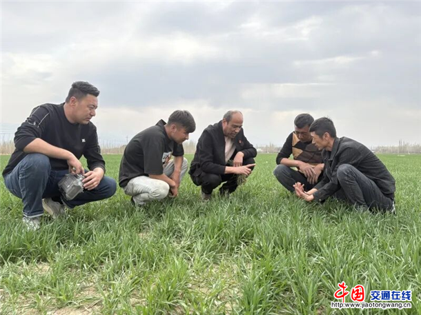 图片6