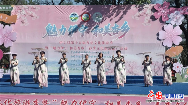 图片8