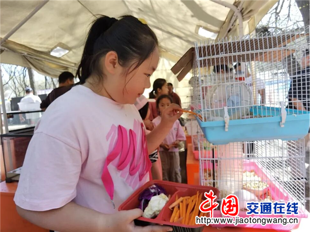 图片9