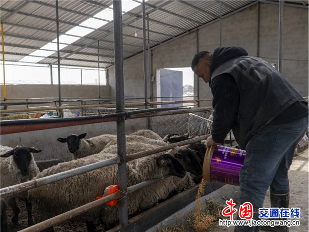 图片2
