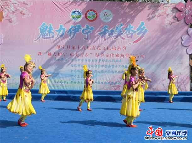 图片5
