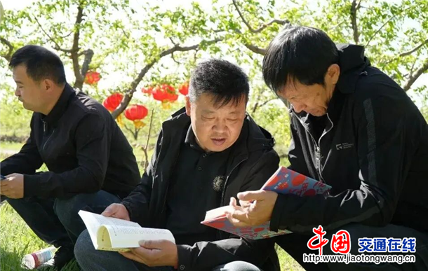 图片11