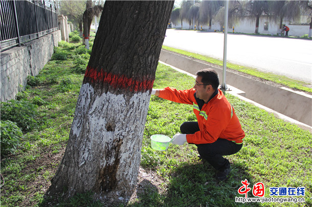 志愿者刷树