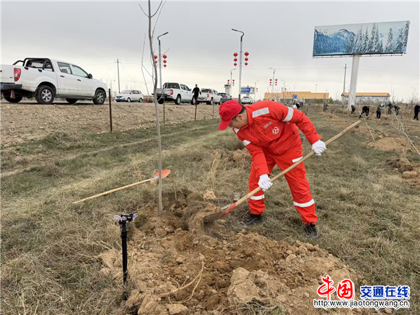 阿勒泰公路事业发展中心富蕴养护所开展春季植树添绿活动 (2)