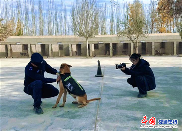 图片7
