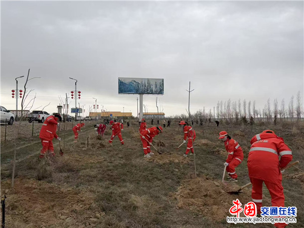阿勒泰公路事业发展中心富蕴养护所开展春季植树添绿活动