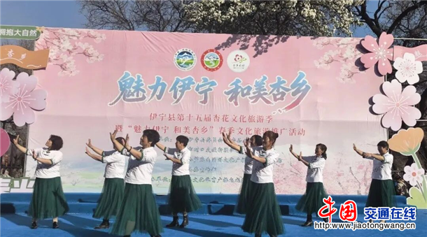 图片8