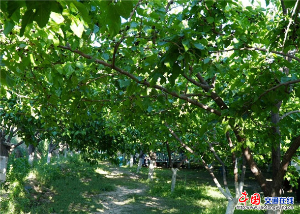 图片11 图片11