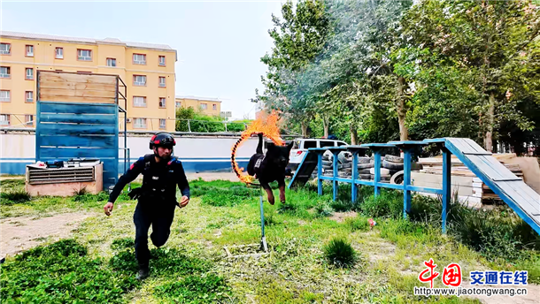 5月8日，新疆维吾尔自治区叶城县公安局特警大队以“专业化、实战化、体系化”为目标，构建 “基础+专项+实战” 三级训练框架，推动警犬技术从 “技能型”向“战术型”转型。 (4)