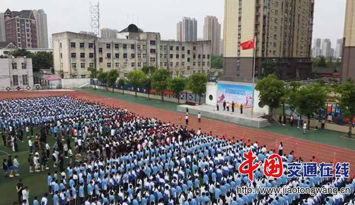 图片5