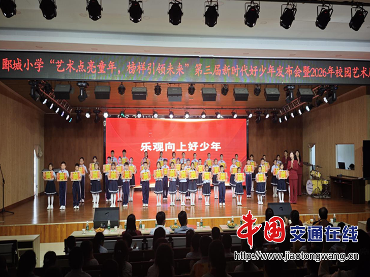 图片4
