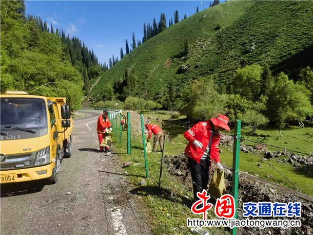 环境整治