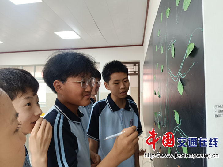 图片15