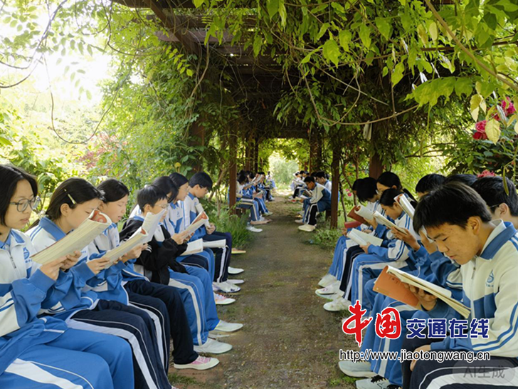 图片4
