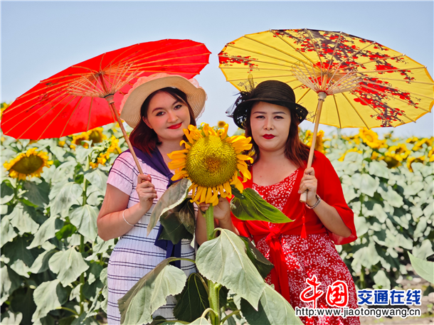 图片6