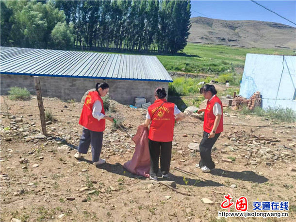 图为：全体党员志愿者分组开展乡村环境卫生整治志愿服务