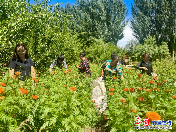 图片13