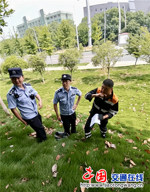 消除铁路沿线危树隐患 (3)