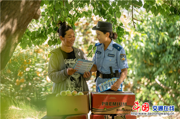 6月26日，叶城县公安局立足主责主业，组织警力深入辖区果园开展“助农采收+精准普法”活动。 (4)