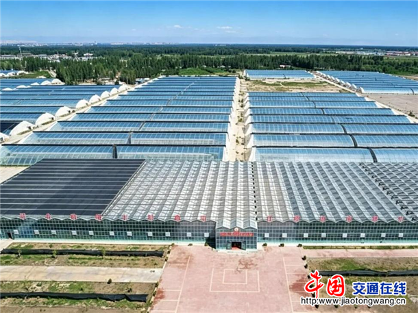 图片13
