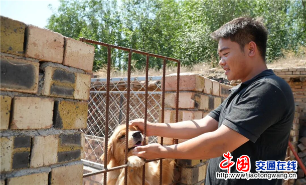 图片6
