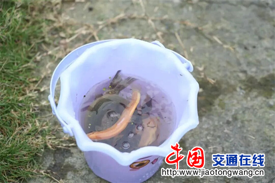 微信图片_20260623140416