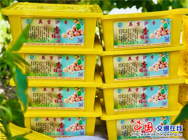 图片5