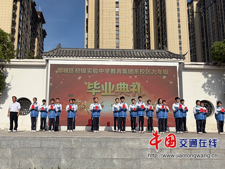 图片15