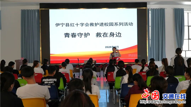 图片11