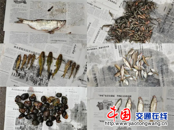 微信图片_20260604102650