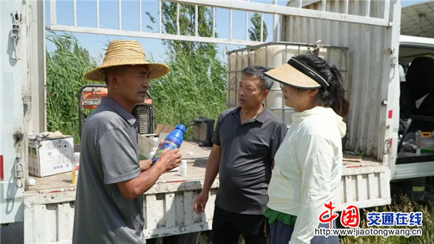 图片5
