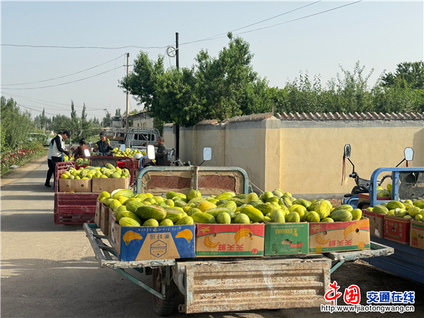 图片15