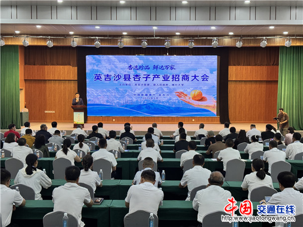 “杏”选珍品 鲜达万家 英吉沙县杏子产业招商大会。娜扎凯提 摄