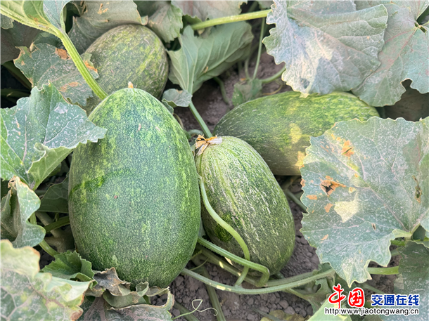 图片14