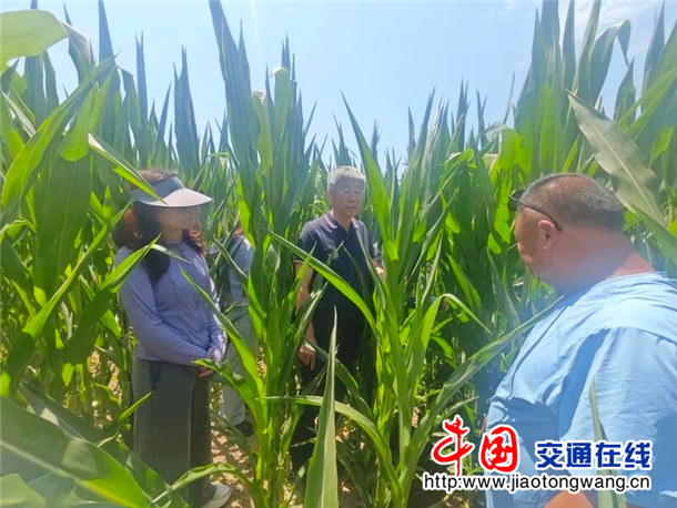 图片8