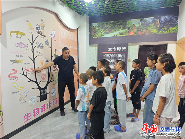 图片5 图片5