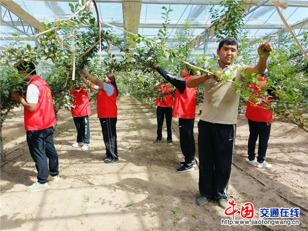 图片2
